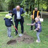 Sadzenie drzewa w miejskim parku