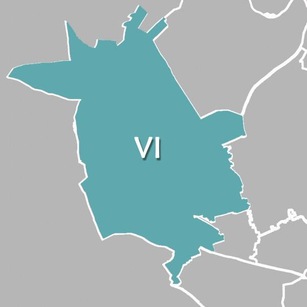 VI